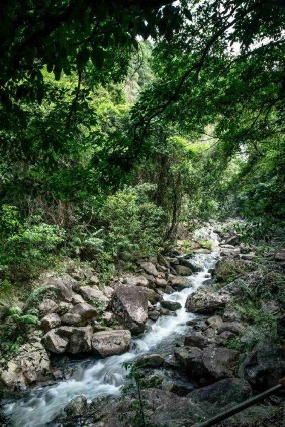 埃及坟墓的秘密